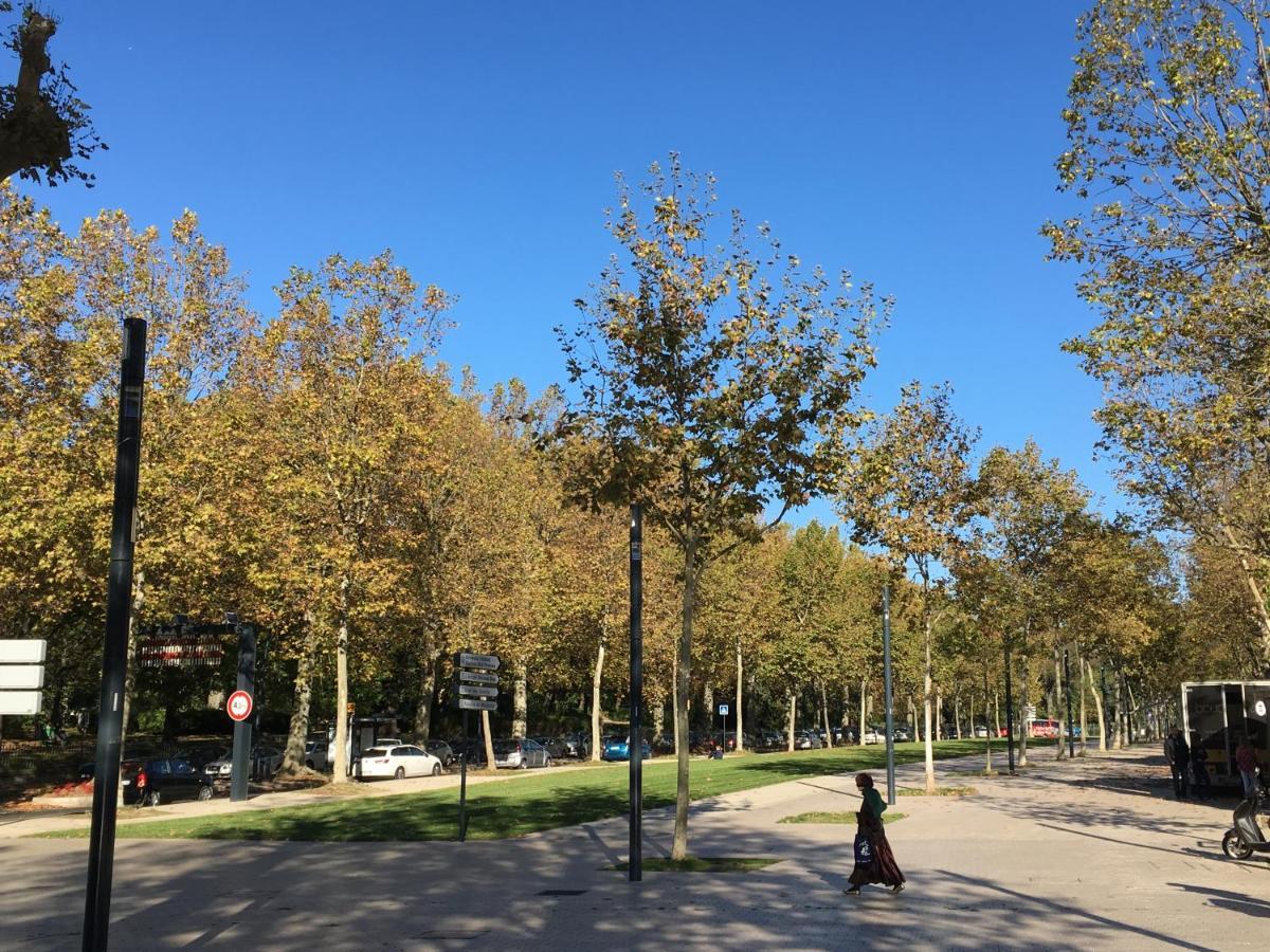 Carmes - Jardin - Studio Pied A Terre En Hyper Centre Apartment Toulouse Ngoại thất bức ảnh